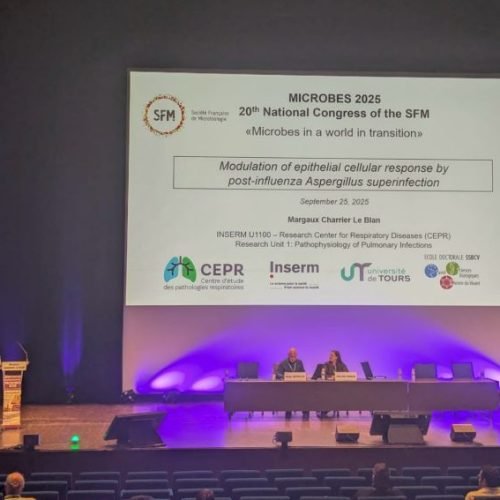 Brilliant presentation of Margaux’s PhD work