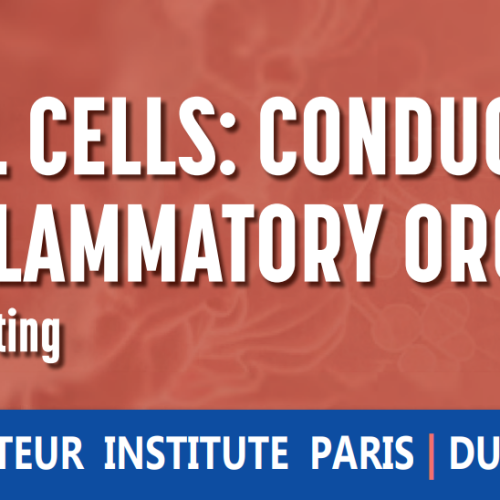 OneDay GREMI Meeting : EPITHELIAL CELLS: CONDUCTORSOF THE INFLAMMATORY ORCHESTRA – March 14, 2025