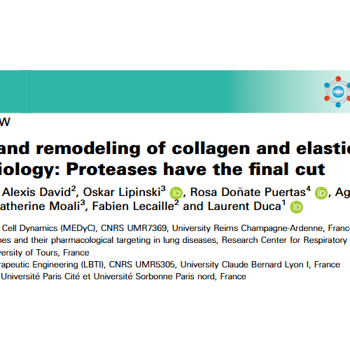 New Article in FEBS Journal