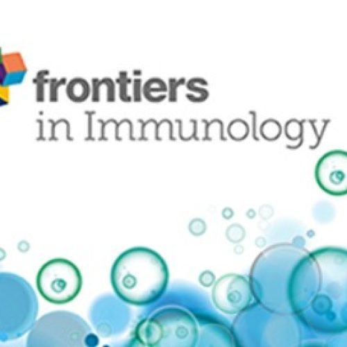 Inhalation of Immuno-Therapeutics/-Prophylactics to Fight Respiratory Tract Infections: An Appropriate Drug at the Right Place!