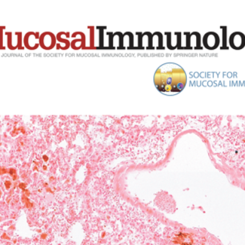 Interleukin- 7 protects against bacterial respiratory infection by promoting IL-17A-producing innate T-cell response.