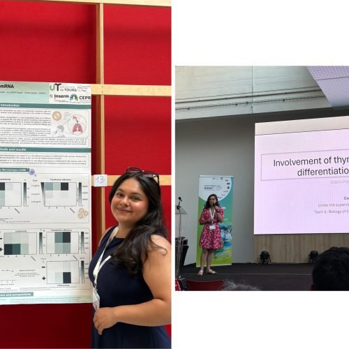 PhD Day – Centre-Val de Loire Region