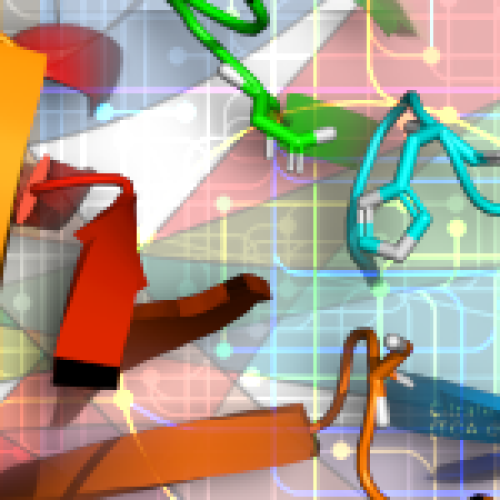 congress of three SFBBM Thematic Groups