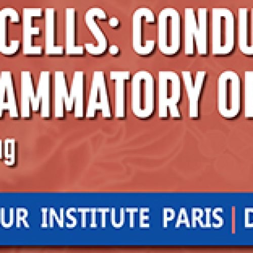 Announcement symposium “Epithelial cells: The conductors of inflammation” on March 15, 2025