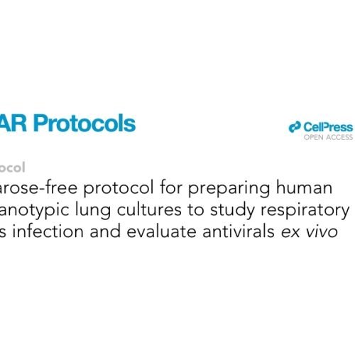 New publication in STAR Protocols